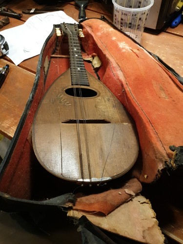 Vintage mandolin alfonso - vintage,