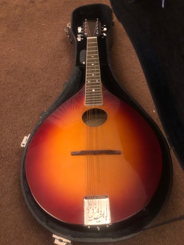 Maestro vintage mandolin - vintage,