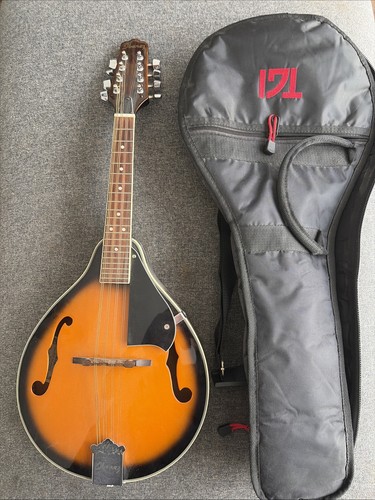 Ibanez m510 mandolin - ibanez,