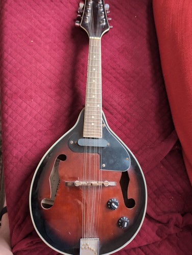 Wesley mandolin rus used - wesley,