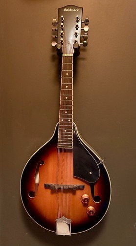 Ashbury electro acoustic - ashbury, am-10