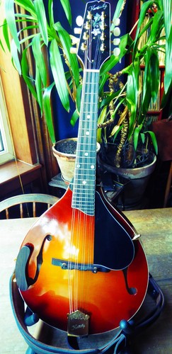Kentucky km505 artist - km505, mandolin