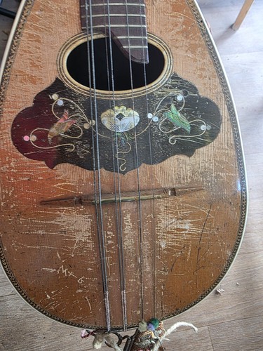 Mandolin musical instrument - mandolin,