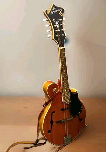 Epiphone 50e professional f - epiphone, mm-50e