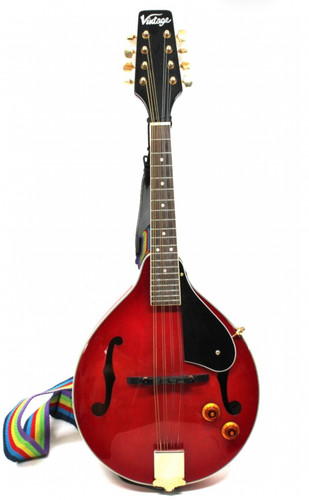 Vintage electro acoustic - vintage,