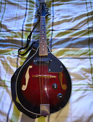 Stagg m50 style - stagg,