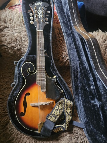 Vintage style string - vintage, 8-string