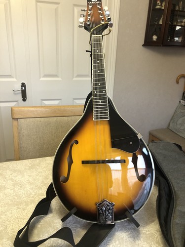 Mandolin excellent used - in,