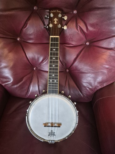 Gold tone mandolin banjo - gold,