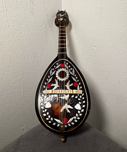 Bowl back mandolin - bowl, polished