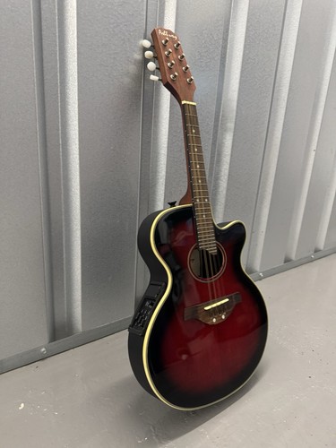 Ashbury electro acoustic - electro,
