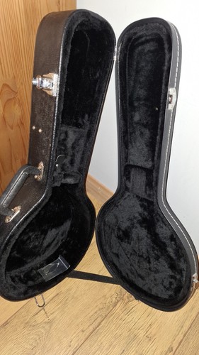 Mandolin hard case style - hard,