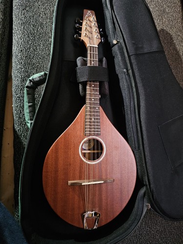 Ashbury rathlin tenor mandolin - tenor,