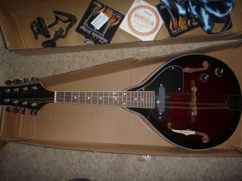 Mandolin stagg brand - mandolin,