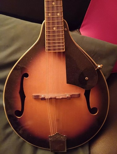 Ozark mandolin 2071 model - model, f