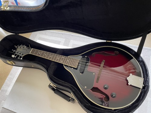 Electric mandolin godman - by,