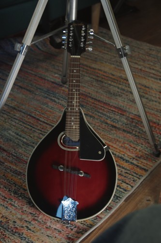 Gremlin mandolin open to - mandolin, (open