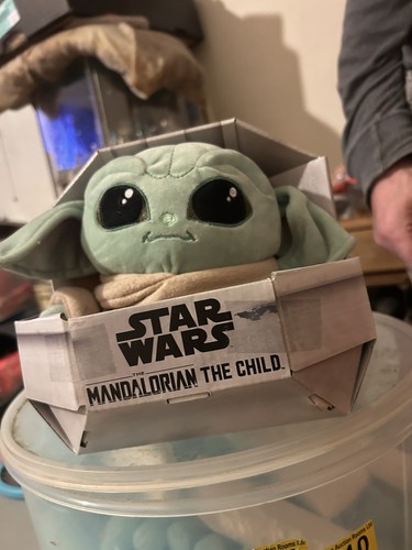 Mandolin the kid - mandolin,
