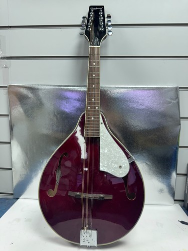 Tanglewood mandolin with bag - tanglewood,