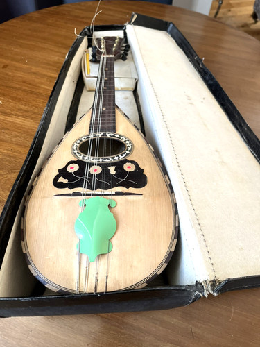 Vintage mandolin cae - vintage,