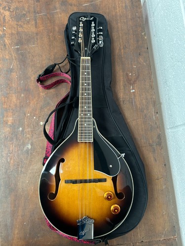 Ozark 2077 electro acoustic - acoustic, a