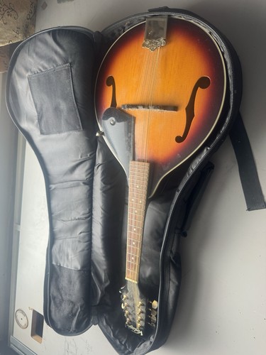 Vintage mandolin - vintage,