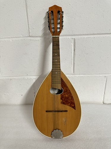 Amada flat mandolin - mandolin, tenor