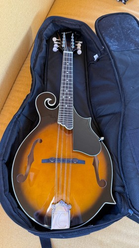 Tanglewood twm vsg cove - tanglewood,