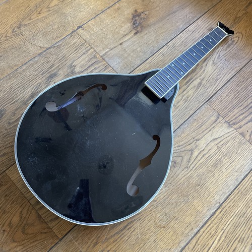 Mandolin project broken - mandolin, body