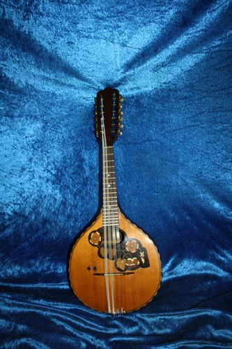 Mandriola mandolin ready to - mandriola,,