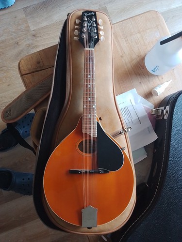 Kentucky 272 mandolin - 272,