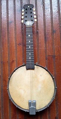 Savana mandolin banjo seen - mandolin,