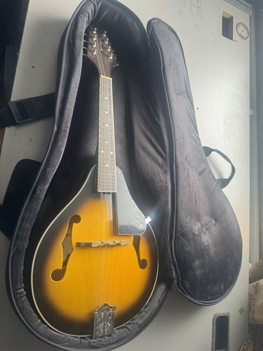 Mandolin with case - mandolin,