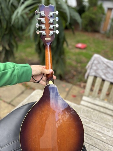 Dean style electric string - a-style,