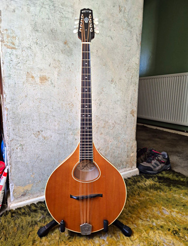 Weber sage octave - octave, mandolin