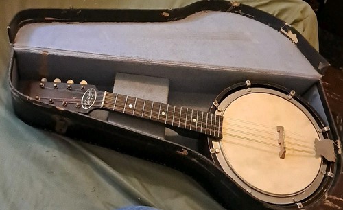 Vintage 1920s savana banjolin - 1920s,