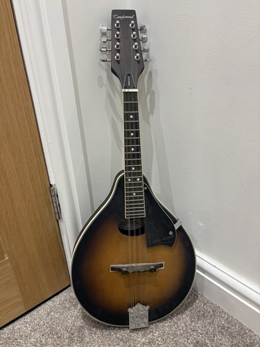 Tanglewood mandolin twmo - twmo, vs