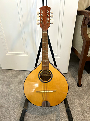 Musikalia flat back mandolin - musikalia,