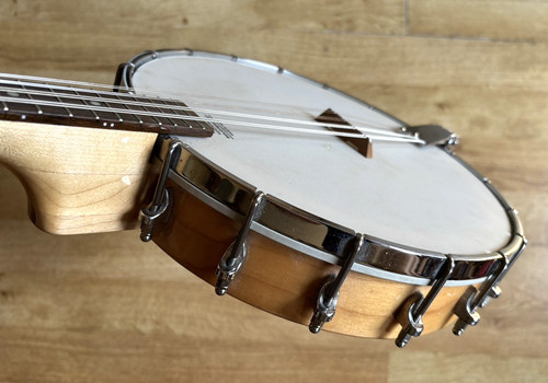 Ashbury banjolin banjo - ashbury,