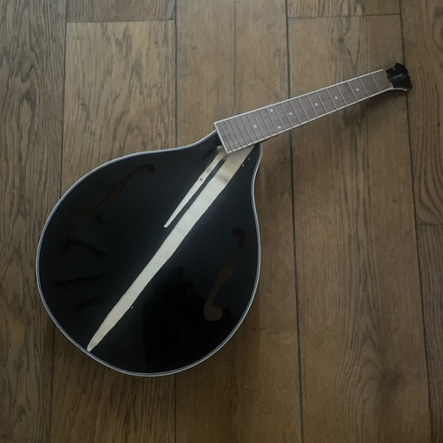 Mandolin project broken - project,