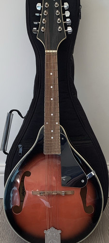 Vintage style mandolin - vintage,
