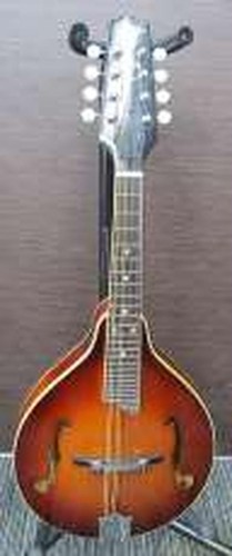 The kasuga mandolin used - mandolin,