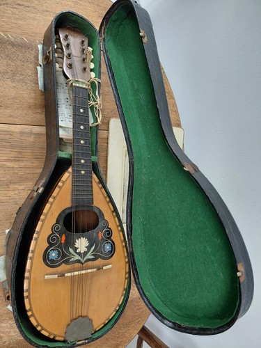 Vintage wooden mandolin cased - vintage,