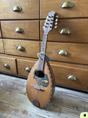 Vintage bowl back - bowl-, mandolin