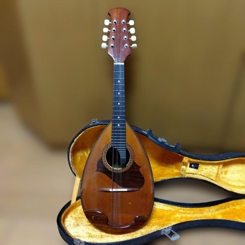Suzuki 215 mandolin - mandolin, 8