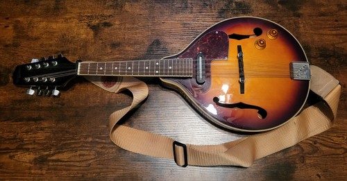 Countryman mandolin with - mandolin,