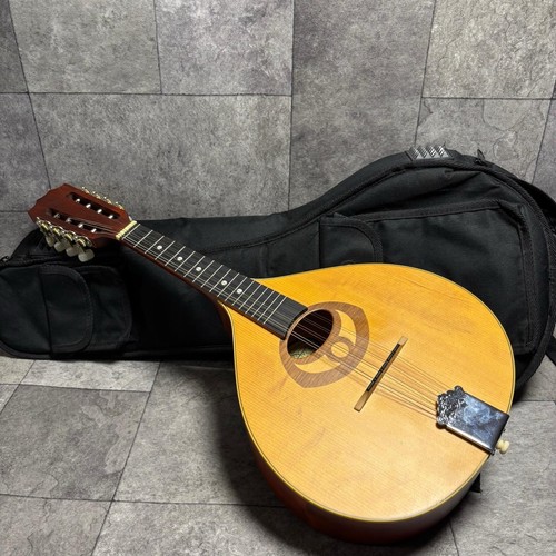 Ozark 2000s flat back - back, mandolin
