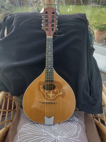 Mandolin rare ozark - mandolin,