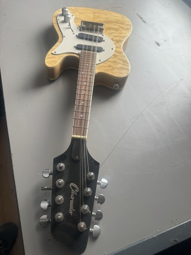 Clearwater electric mandolin - clearwater,