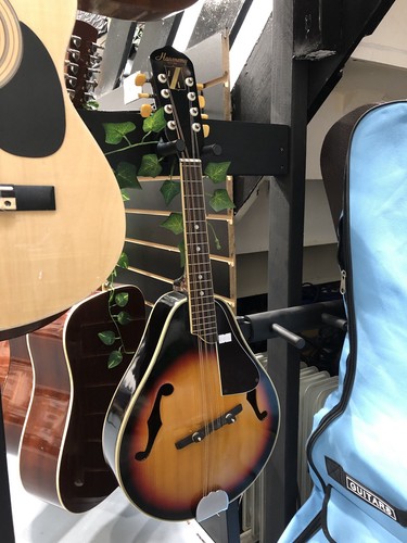 Vintage harmony deep body